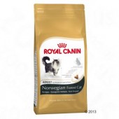 ROYAL CANIN NORVEGESE DELLE FORESTE 